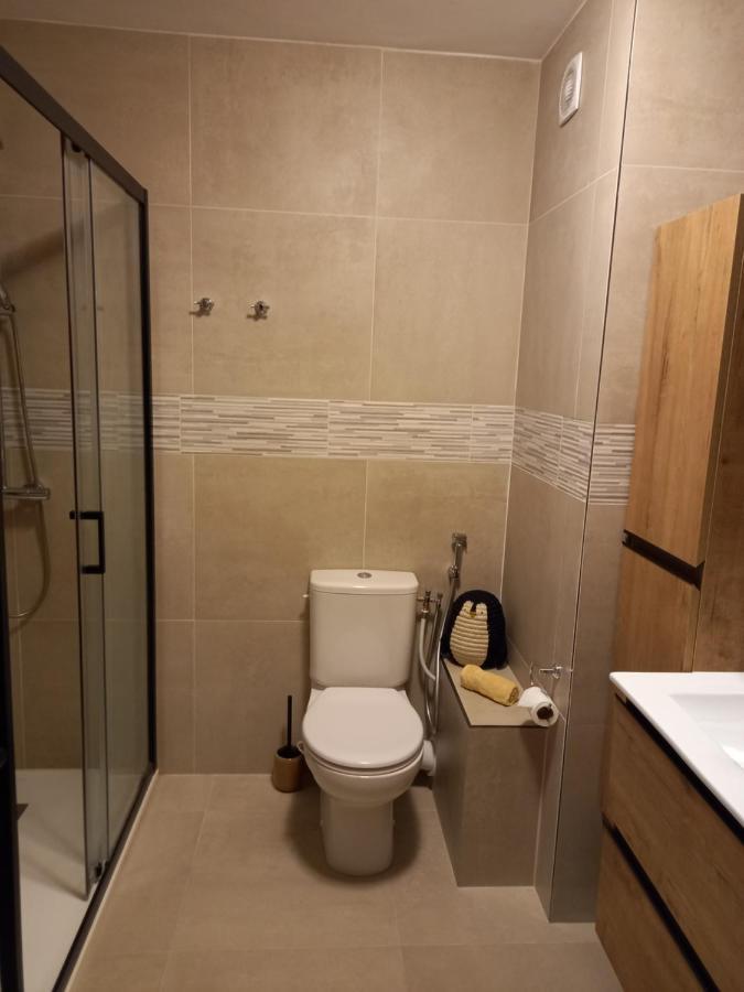 אנסי Appartement Cosy Proche Du Lac מראה חיצוני תמונה
